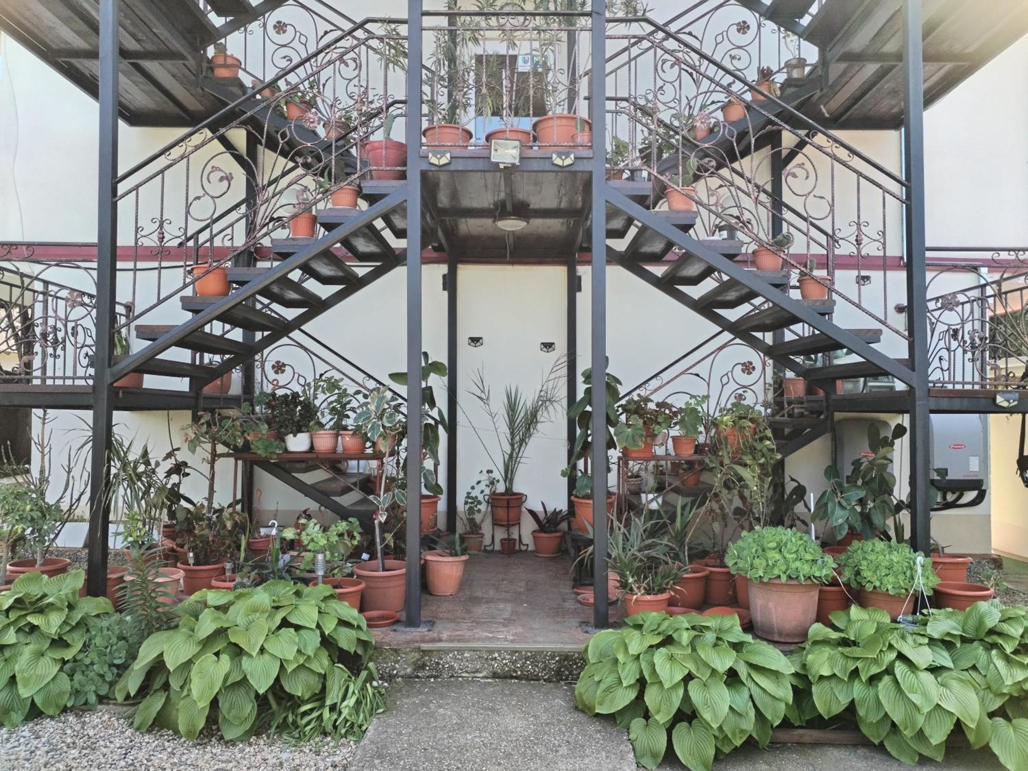 Vila Robert Otel Schitu Dış mekan fotoğraf